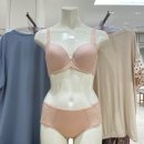 티에스인터내셔널 이미지