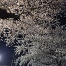 미평로 Daum카페