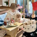 거북섬프라자 | 시흥 거북섬 카페 블루웨이브커피, 애견동반 재방문 후기