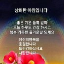 80세 벽을 넘으면,어떻게 해야하나? 이미지