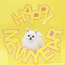 원 그루밍 이미지
