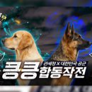 킁킁