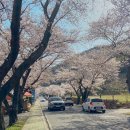 서시천자전거길2 이미지