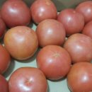 새시대공인중개사사무소 이미지