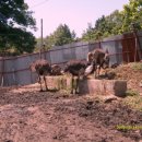 아성2농장 이미지