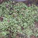 월학농장 이미지