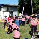 천안시청직장어린이집 이미지