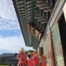 단단스테이 | 아이들 넷과 함께한 순천 송광사 템플스테이 후기