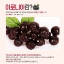 화계식품