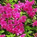 당신이 있어 좋은세상 이미지