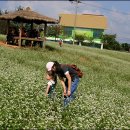 길손농장 이미지