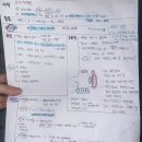 오천농협주유소 | 시엘자동차운전학원 도로주행 한번에 합격한 후기! (+족보 공유)