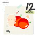 롯데백화점 인천점 압소바 | 임신 12~16주 일상/부평구청 세밀/해피맘 임신축하박스/브라이텍스/성별공개