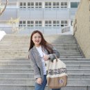 셀코디