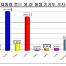 2007년 7월 11일 - 부산시 사하구 지역 여론 조사 결과 이미지