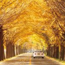 아산마을진입로 이미지