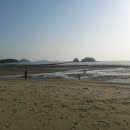 조개체험장  대죽 이미지