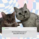 산내축산 이미지