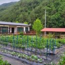 왕피천힐링팜 이미지