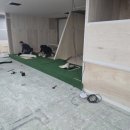 돌다리몰 이미지