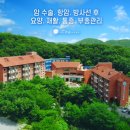 늘푸른요양병원옆 이미지