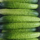 해밀농장 이미지