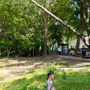 수봉공원 (유아숲체험원) 이미지