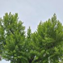 필암서원(외) 이미지