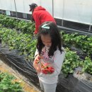 J.K 서교태권도 이미지