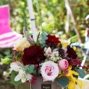 벤자민&데이지 이미지