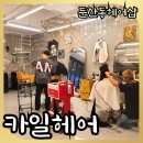 엣지있는헤어샵 네이버블로그