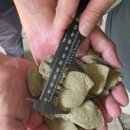 해조수산 이미지