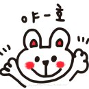 용인테니스핏 이미지