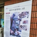 미락생선구이 이미지