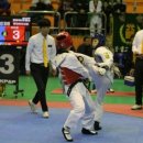 정선태권도체육관 이미지