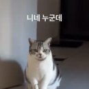 예루디자인 | 24.11.23 자유독서모임