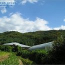 공주시탄천면대학보건진료소 이미지