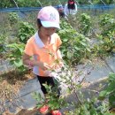 마한농장 이미지