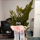 더룸공인중개사사무소 이미지