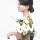 이니시오드