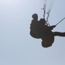 가고픈 둥지펜션 이미지