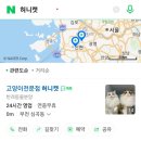 고양이전문점 허니캣 이미지