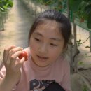 경석농장 이미지