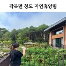 사과집 | 청도자연휴양림(각북면) 숲속의 집 사과 1호 금액, 숙박 후기, 태교여행, 오토캠핑장, 야영데크