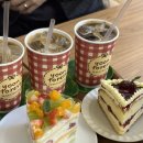 YOON FOREST 이미지