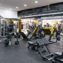 아인스 휘트니스 이미지