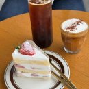 2023-주013 이미지