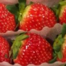 종합청과 이미지