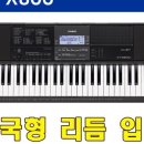 도레미씨앗