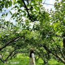 그린토피아 | 양평 데이트 그린토피아 화분만들기 체험과 카페소풍